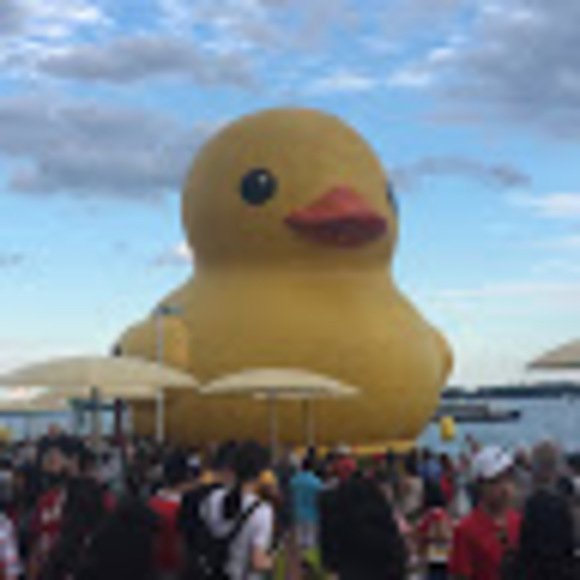 Meet your Posher, Lazlo - Picture 1 of 1